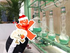 -三亚湾红树林度假世界(木棉酒店)