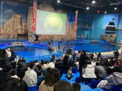 -华夏文旅海洋公园