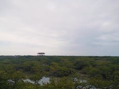 -北海金海湾红树林生态旅游区