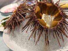 -日月昇渔家菜·海肠捞饭·大连海鲜(星海公园店)