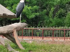 -齐齐哈尔龙沙动植物园