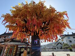-武当山风景区