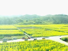 -新安江山水画廊风景区