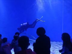 -波塞冬海底世界