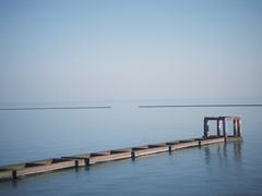 -贡湖湾湿地公园