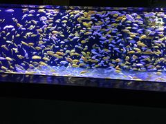 -成都浩海立方海洋公园