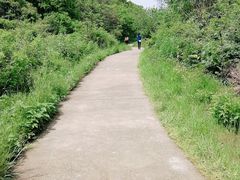-青龙山国家森林公园