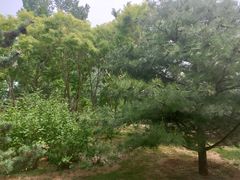 -燕郊植物园