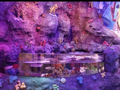 -沈阳海洋探索中心