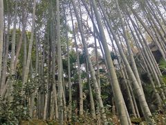 -浮山风景名胜区