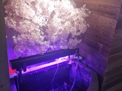 -愉肴麻辣香锅(中山路店)