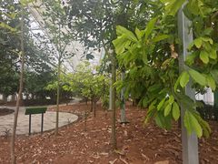 -歌斐颂巧克力小镇