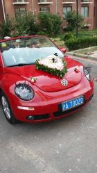 -畅步婚车(浦东店)