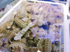 皮皮虾-捞围鲜·港式打边炉(海阳路店)