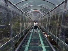 -牛鱼嘴原始生态风景区