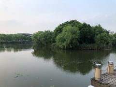 -新江湾城公园