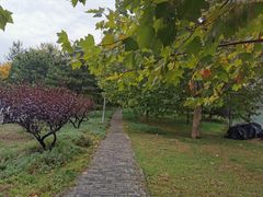 -望湖公园