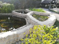 -活水公园