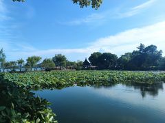 -无锡蠡湖国家湿地公园-蠡园