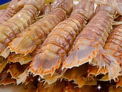 清蒸皮皮虾-1910老鲁味海鲜·戳子肉·青岛菜(金沙滩店)