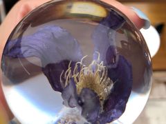 -二酉书店TOYOU BOOKS