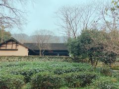 -法云古村