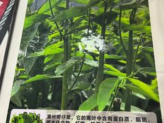 -辉记潮汕海鲜砂锅粥(市桥店)