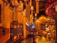 -叶叶菩提(太原别墅店)