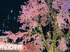 -首开·龙湖成都西宸天街