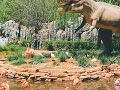 -北京野生动物园