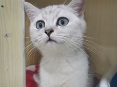 -佳雯宠物医院·皮肤科·内外科(春晓路分院)