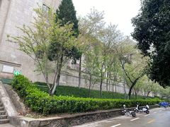 -武汉大学-樱园