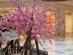 -鹏欣水游城