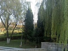 -陕西自然博物馆