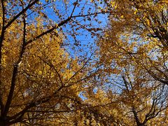 -东钱湖旅游度假区