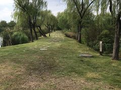 -上海海湾国家森林公园