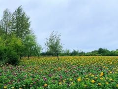 -嘉荫恐龙国家地质公园