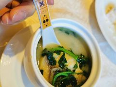 是日老火例汤-喜来登由由大酒店九州膳坊中餐厅