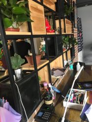 -刺客纹画纹身·洗纹身·穿孔饰品