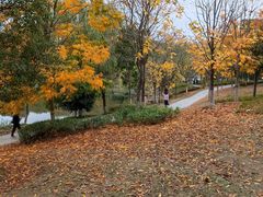 -南山风景名胜区