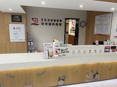 -艾贝尔宠物医院·24H转诊中心·肿瘤猫专科(江宁双龙店)