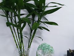 -特优手机电脑维修(中福城二期店)