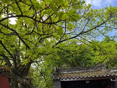 -成都武侯祠博物馆