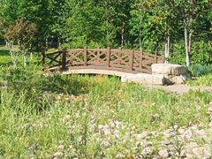 -吉庆街美食广场