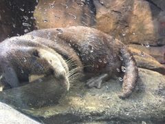 -哈尔滨波塞冬海底世界