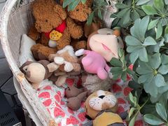 -Vanillacafe香草咖啡(银海大世界店)
