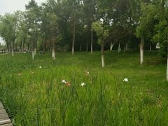 -艾溪湖湿地公园