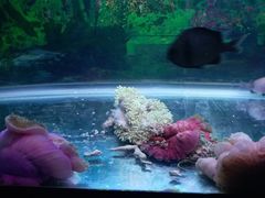 -青岛嘉年华主题乐园