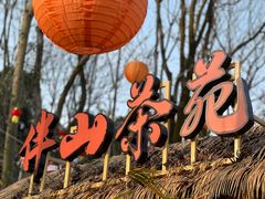 -伴山茶苑·一盏冰茶·半日山居