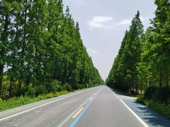 -盐城丹顶鹤湿地生态旅游区